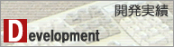 開発実績